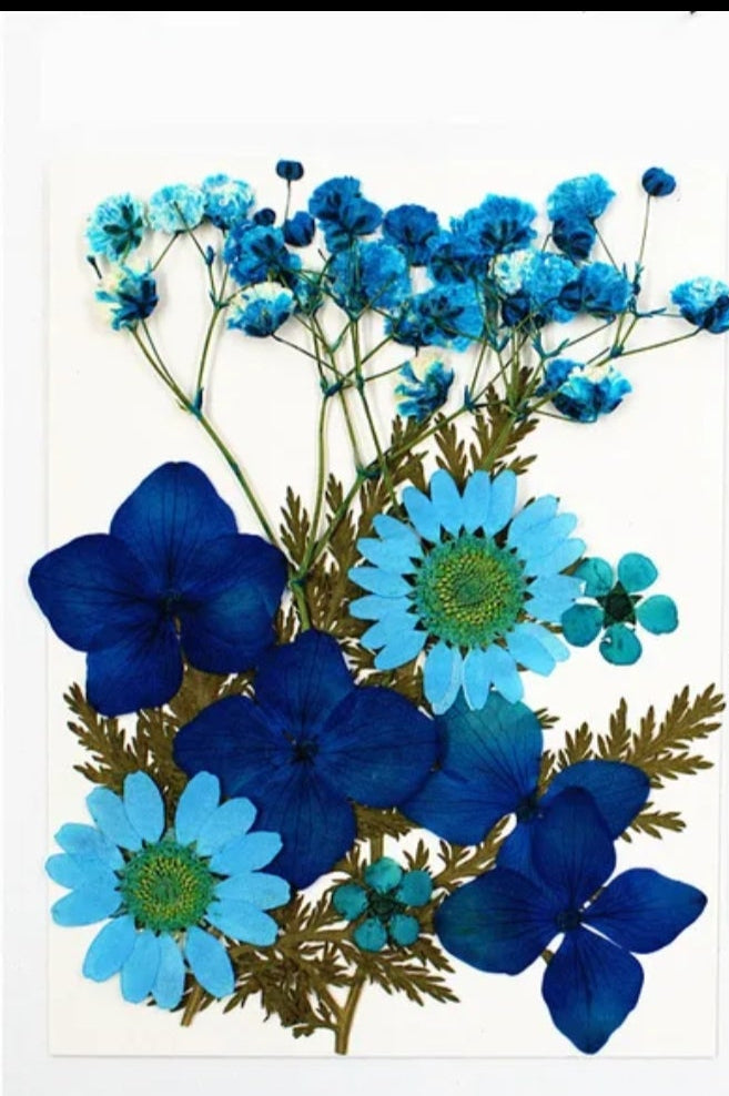 Pressed Flower Sheet