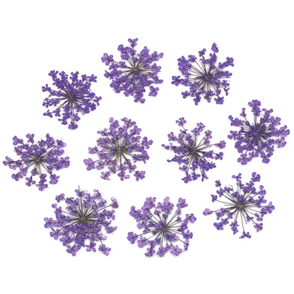 9 Flower Pressed Sheet