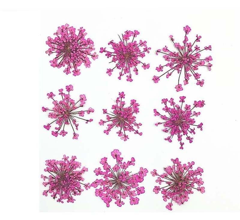 9 Flower Pressed Sheet (1 pc)