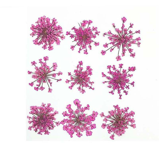 9 Flower Pressed Sheet (1 pc)