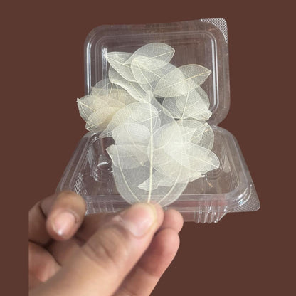 Leaves (30Pc)