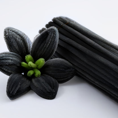 Pipe Cleaner (100 Pc , Black)