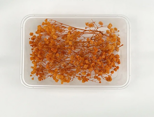 Dry Flower Box(1 pc)