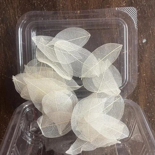 Leaves (30Pc)