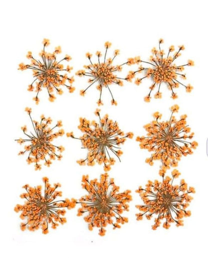 9 Flower Pressed Sheet (1 pc)