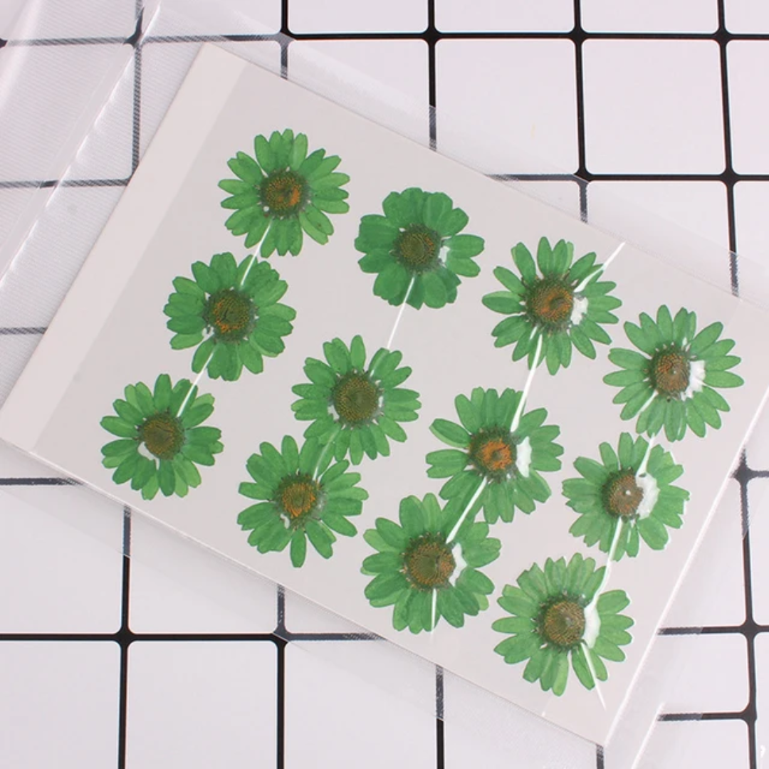 Single Color Pressed Flower