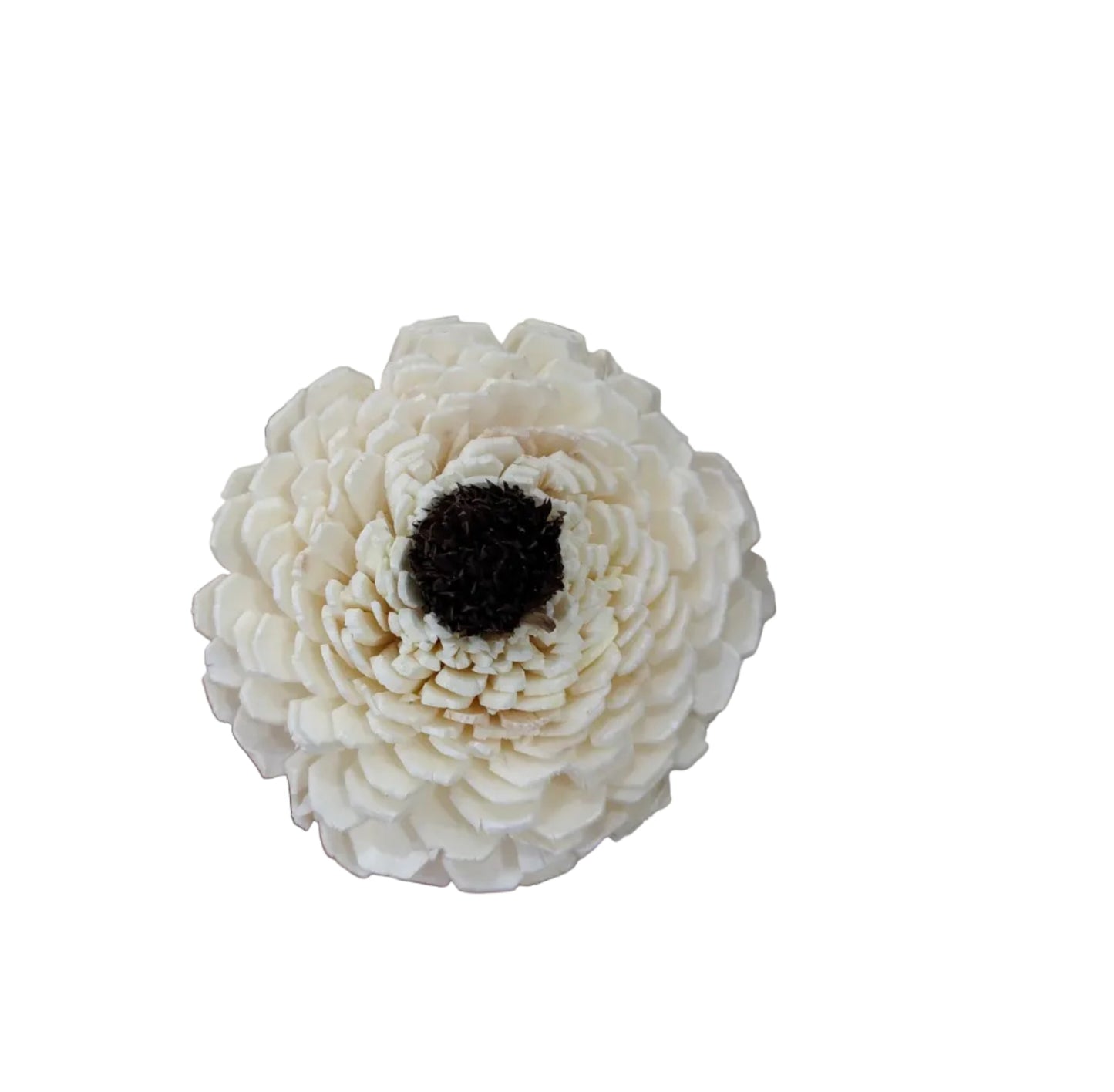 Dagzy Sola Flowers (10 pc)
