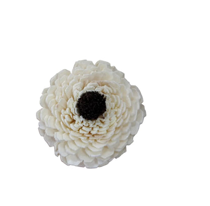 Dagzy Sola Flowers (10 pc)
