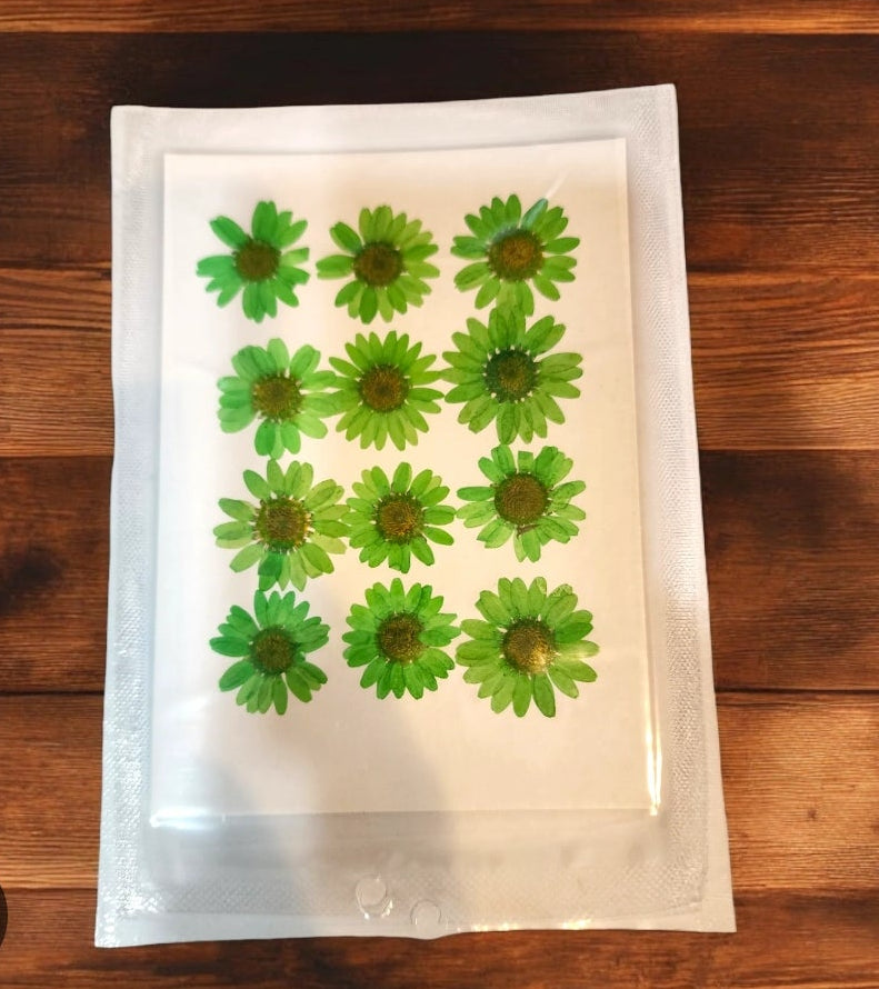 12 Flower Pressed Sheet (1 pc)