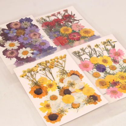 Pressed Flower Sheet