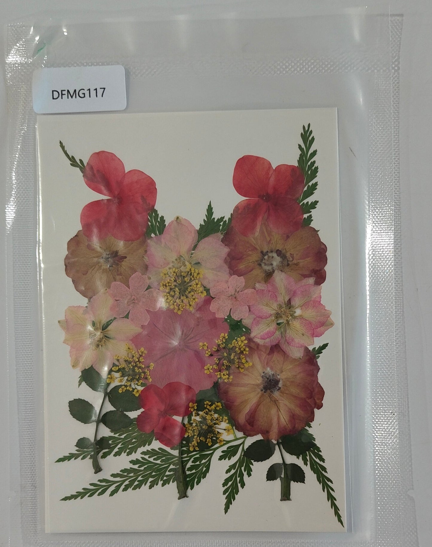 Pressed Flower Sheet