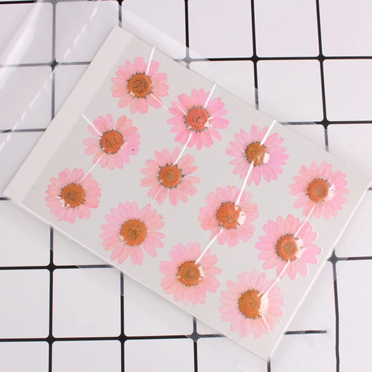 Single Color Pressed Flower