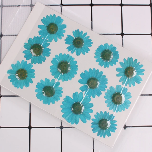 Single Color Pressed Flower