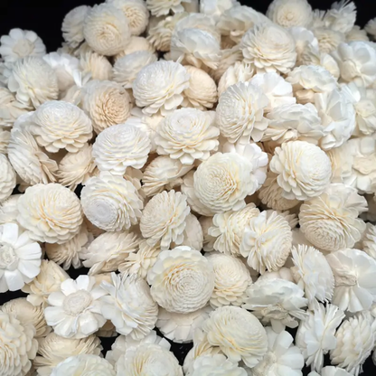 Big Bailev Sola Flowers (10 pc)