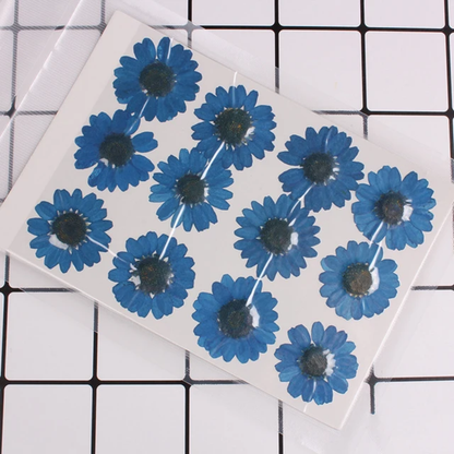 Single Color Pressed Flower