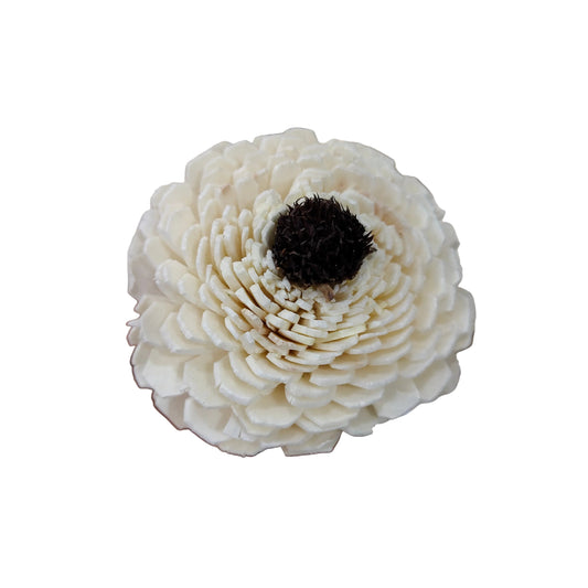 Dagzy Sola Flowers (10 pc)
