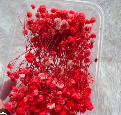 Dry Flower Box (1 Pc)