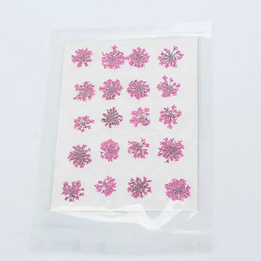 Pressed Flower Sheet