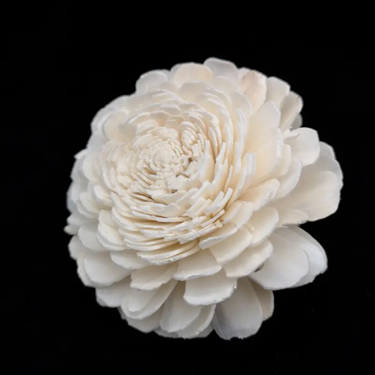 Bailev Sola Flowers (10 pc)