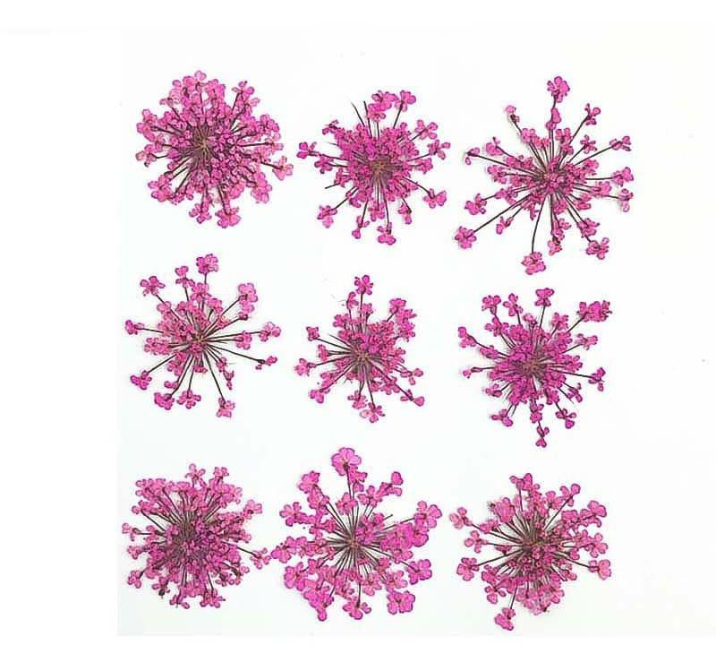 9 Flower Pressed Sheet (1 pc)