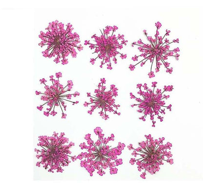9 Flower Pressed Sheet (1 pc)