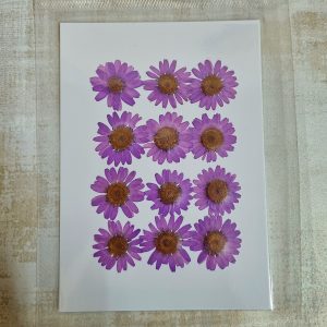 12 Flower Pressed Sheet (1 pc)