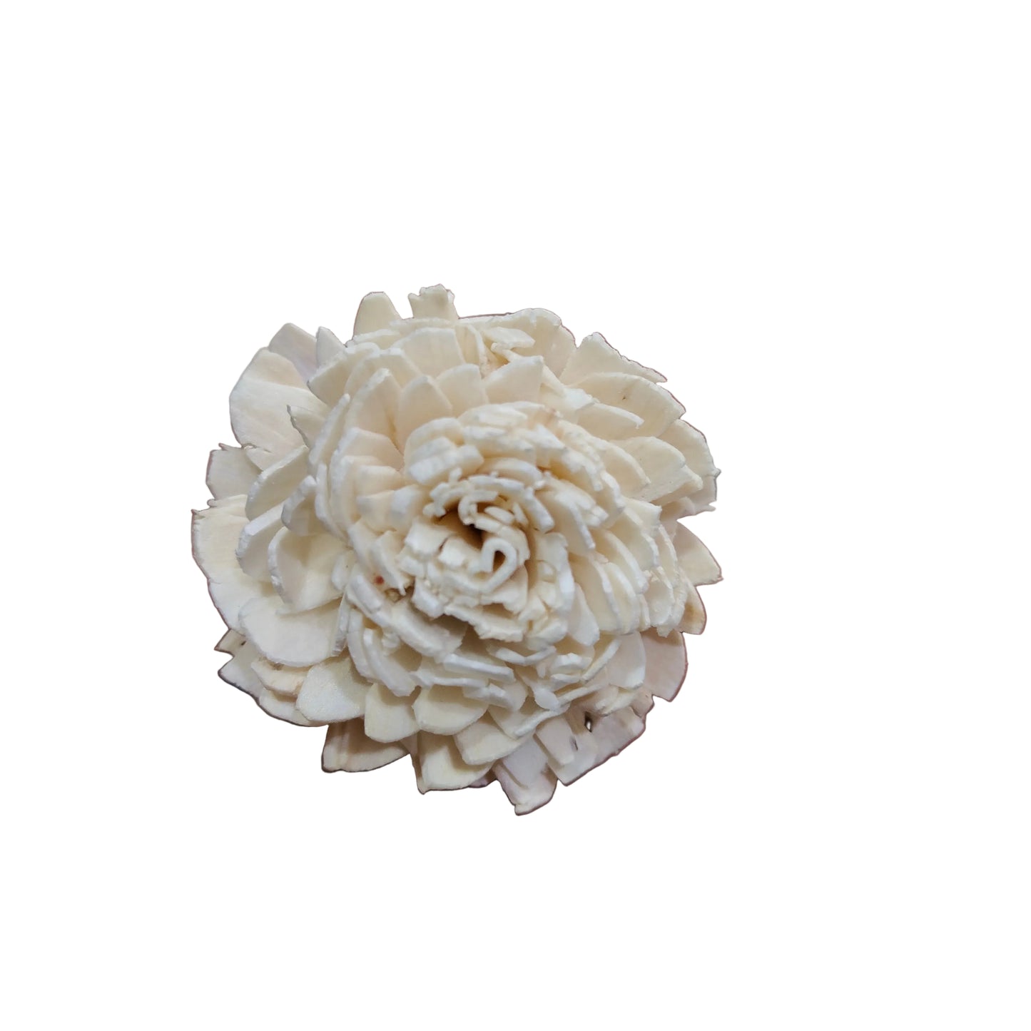 Ziniva Sola Flowers (10 pc)