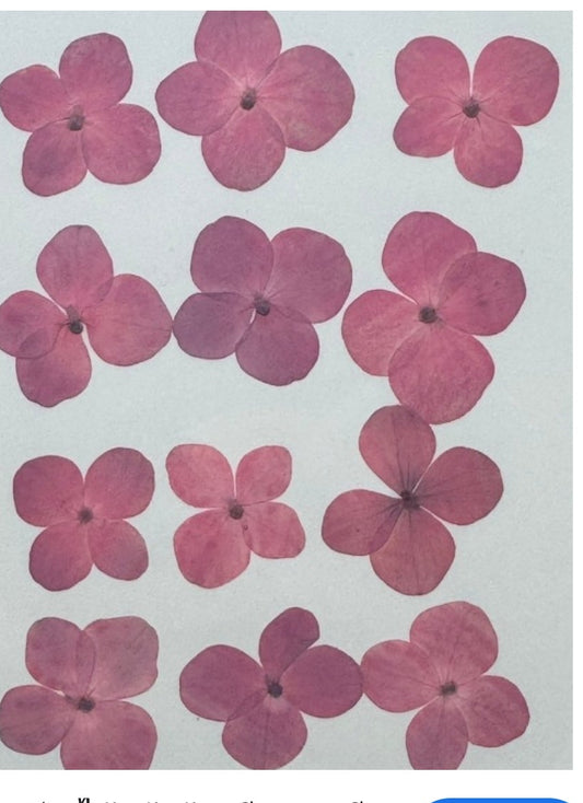 12 Flower Pressed Sheet (1 pc)