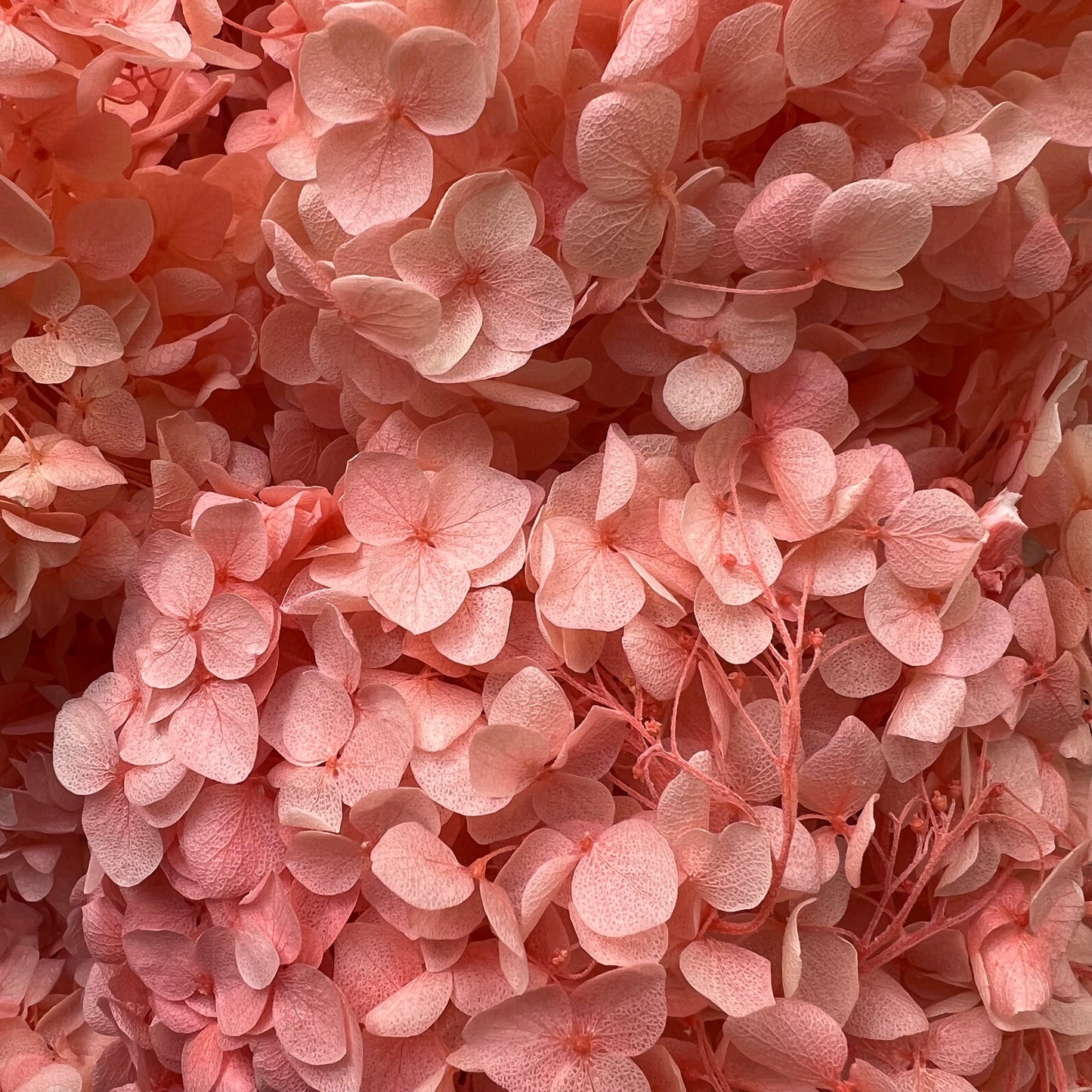 Dry Flower Box (1 pc)