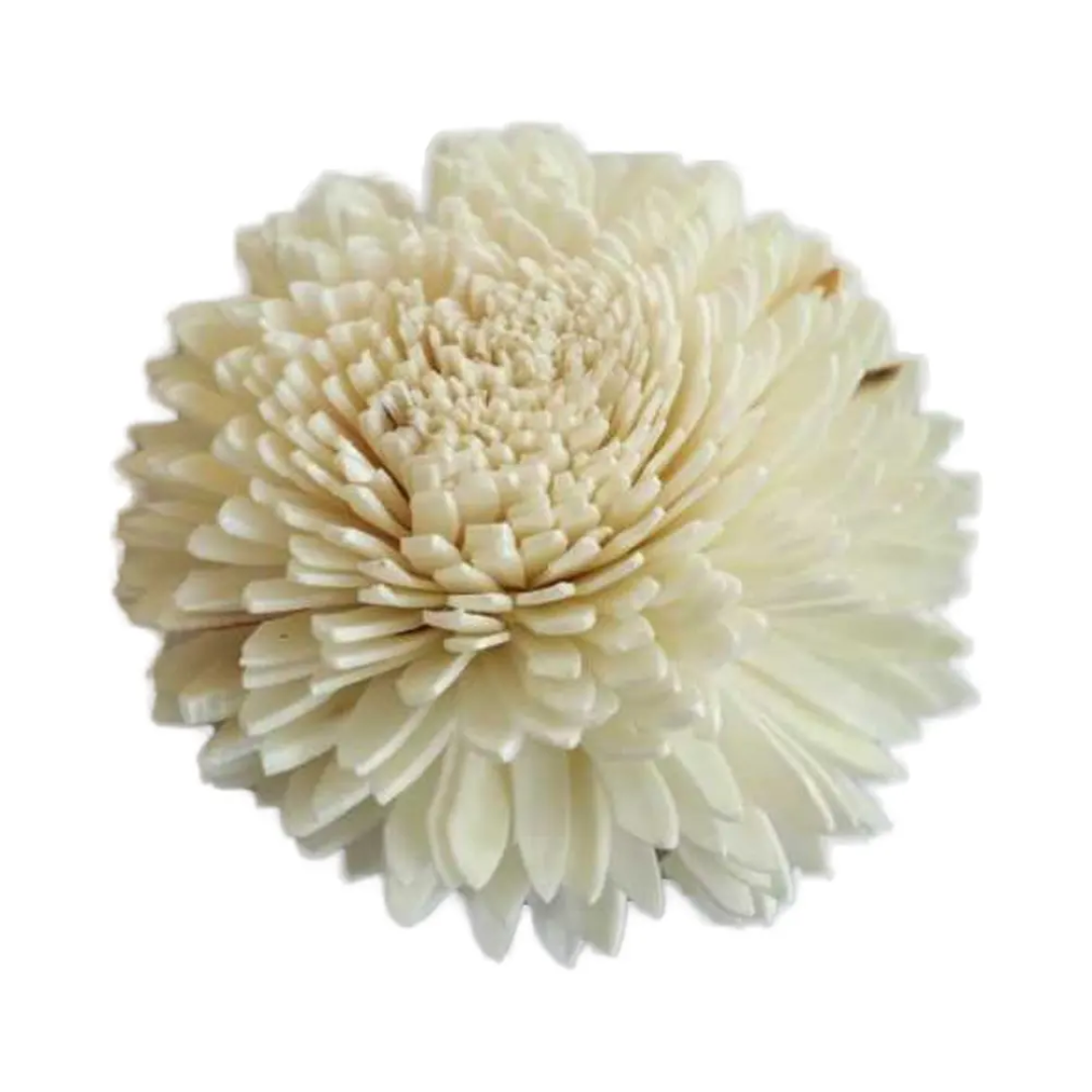 Big Ziniva Sola Flowers (5pc)