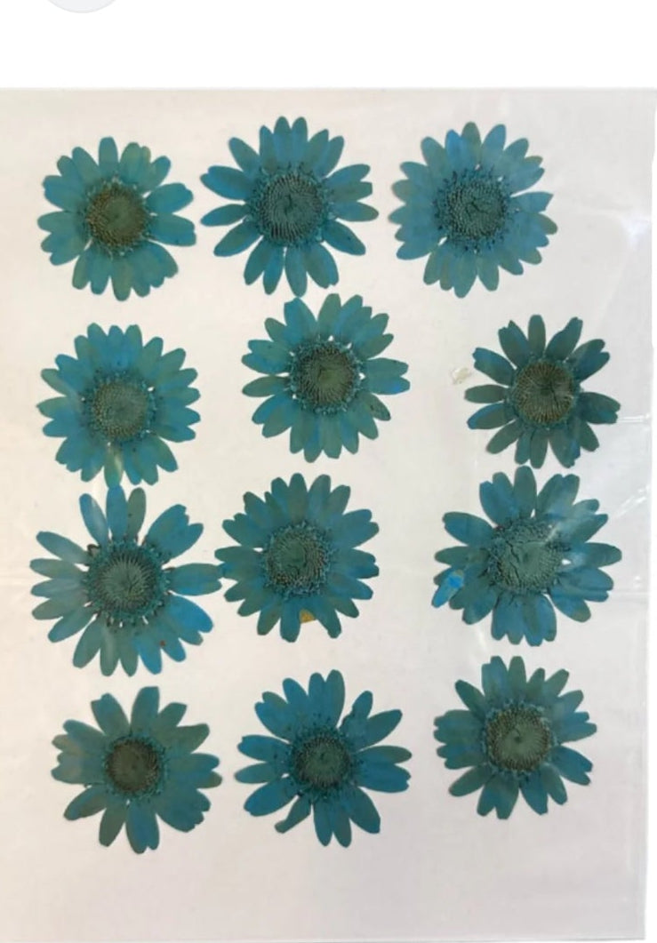 9 Flower Pressed Sheet (1 pc)