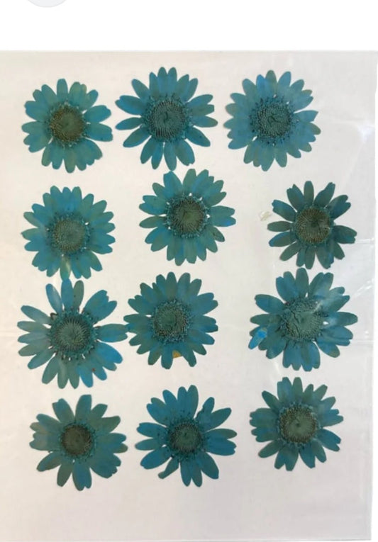 9 Flower Pressed Sheet (1 pc)