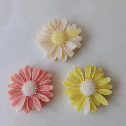 Daisy Flower