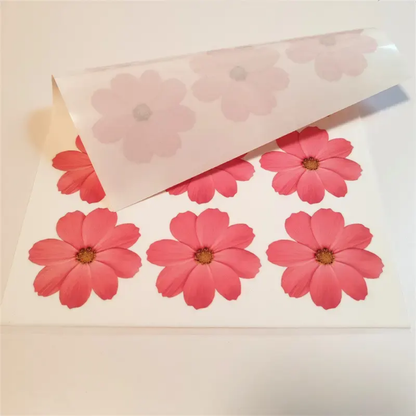 Pressed  Flower Sheet