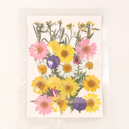 Pressed Flower Sheet
