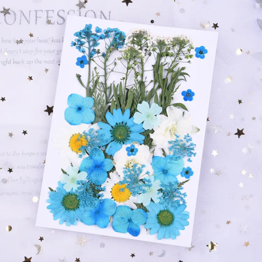 Pressed Flower Sheet