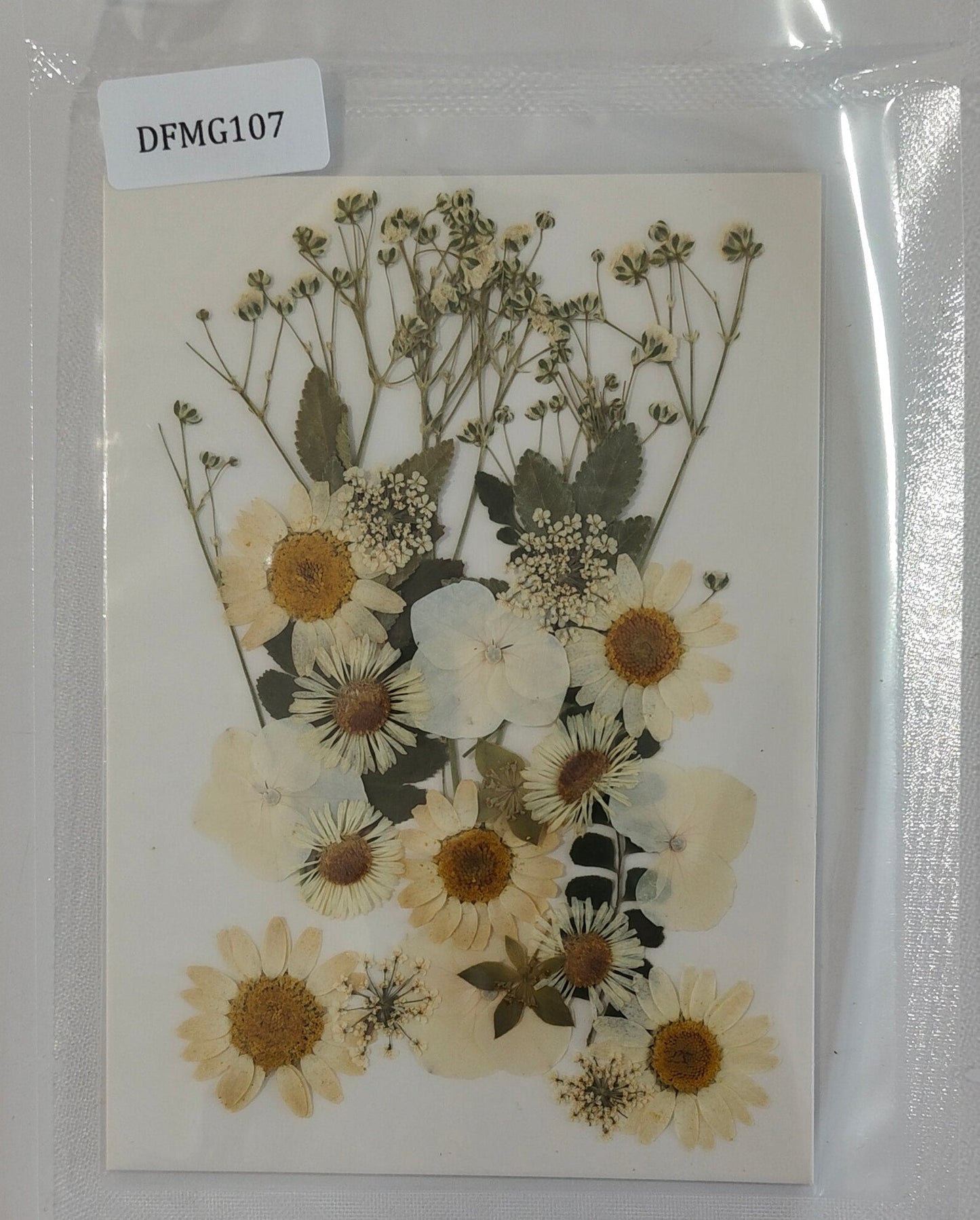 Pressed Flower Sheet