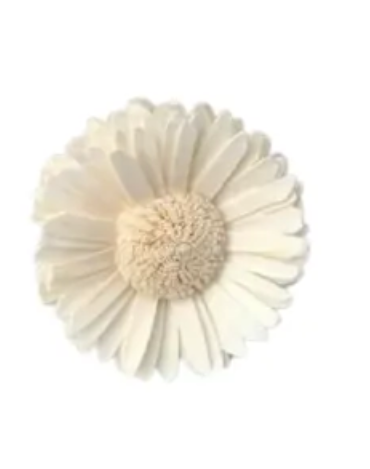 Small Sun Sola Flowers (10 pc)
