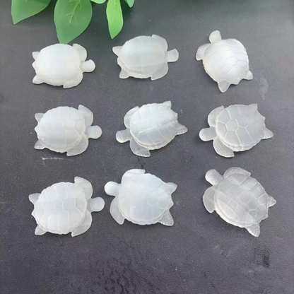 Small Turtle Mould