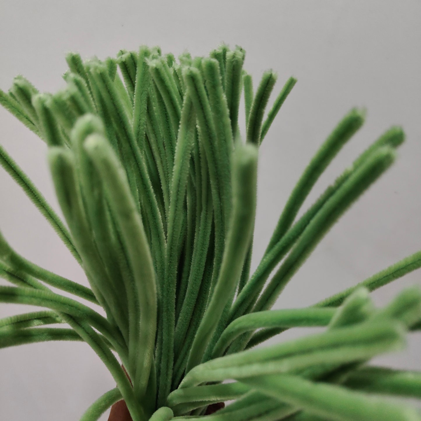Pipe Cleaner (100 Pc)