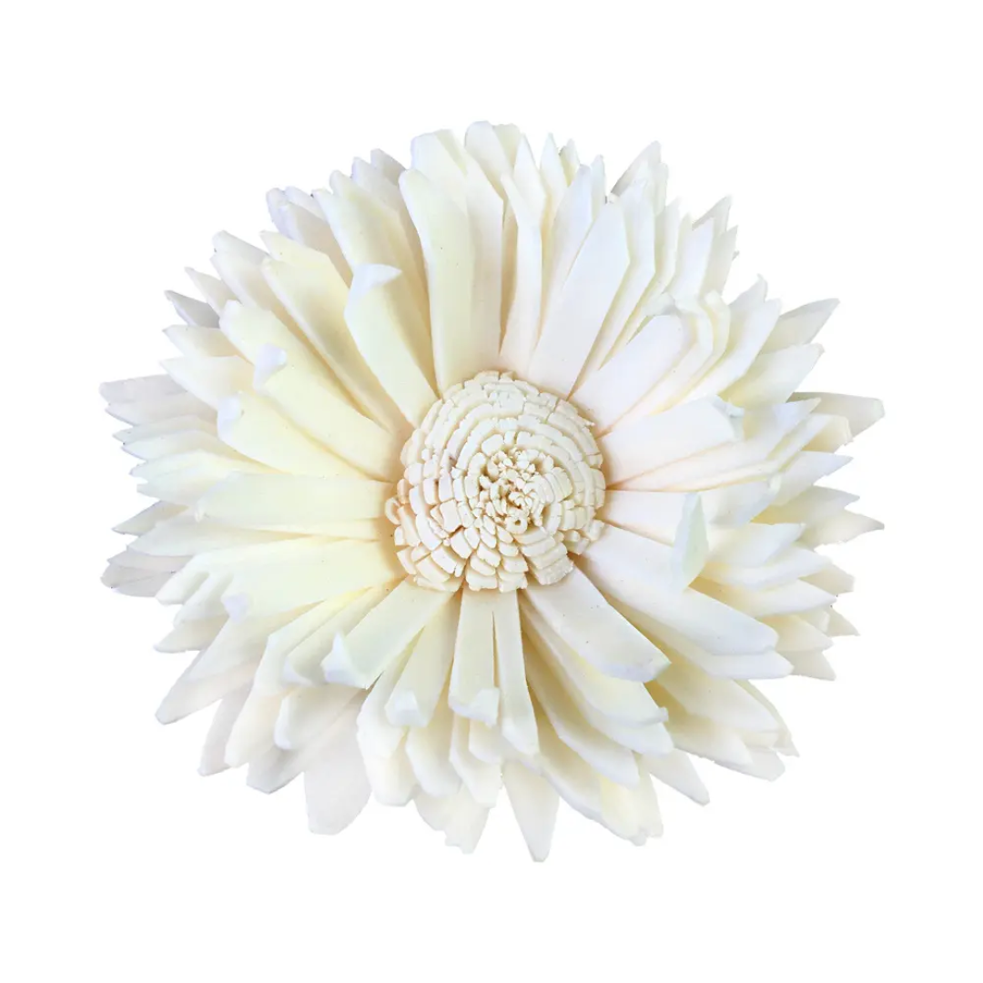 Big Sun Sola Flowers (5 pc)