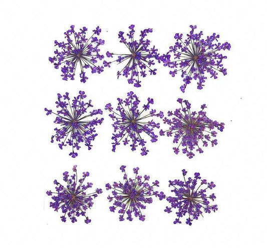 9 Flower Pressed Sheet (1 pc)