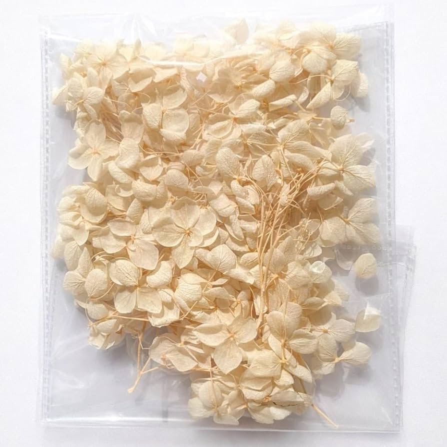 Dry Flower Box (1 pc)