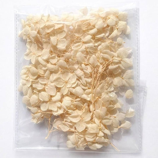 Dry Flower Box (1 pc)