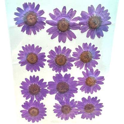12 Flower Pressed Sheet (1 pc)