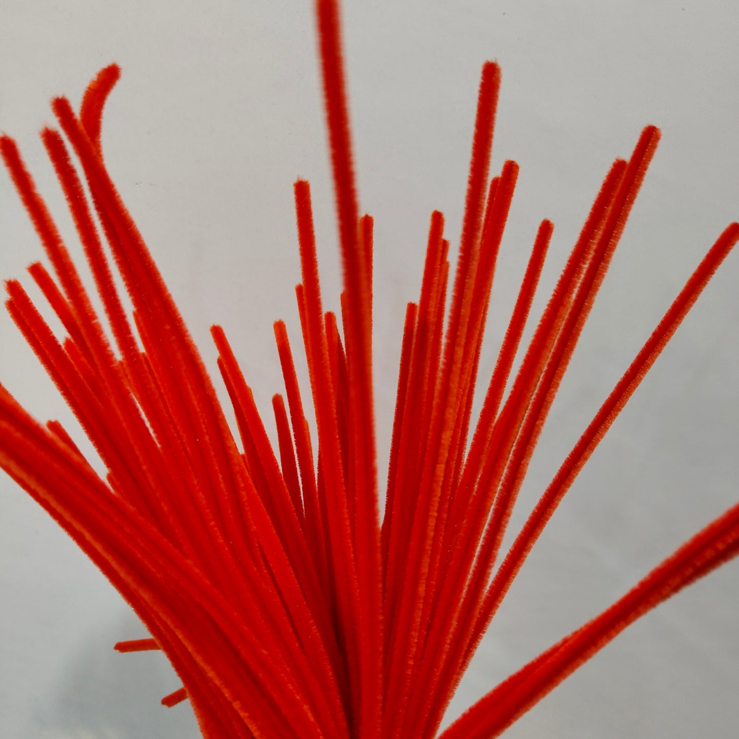 Pipe Cleaner (100 Pc)