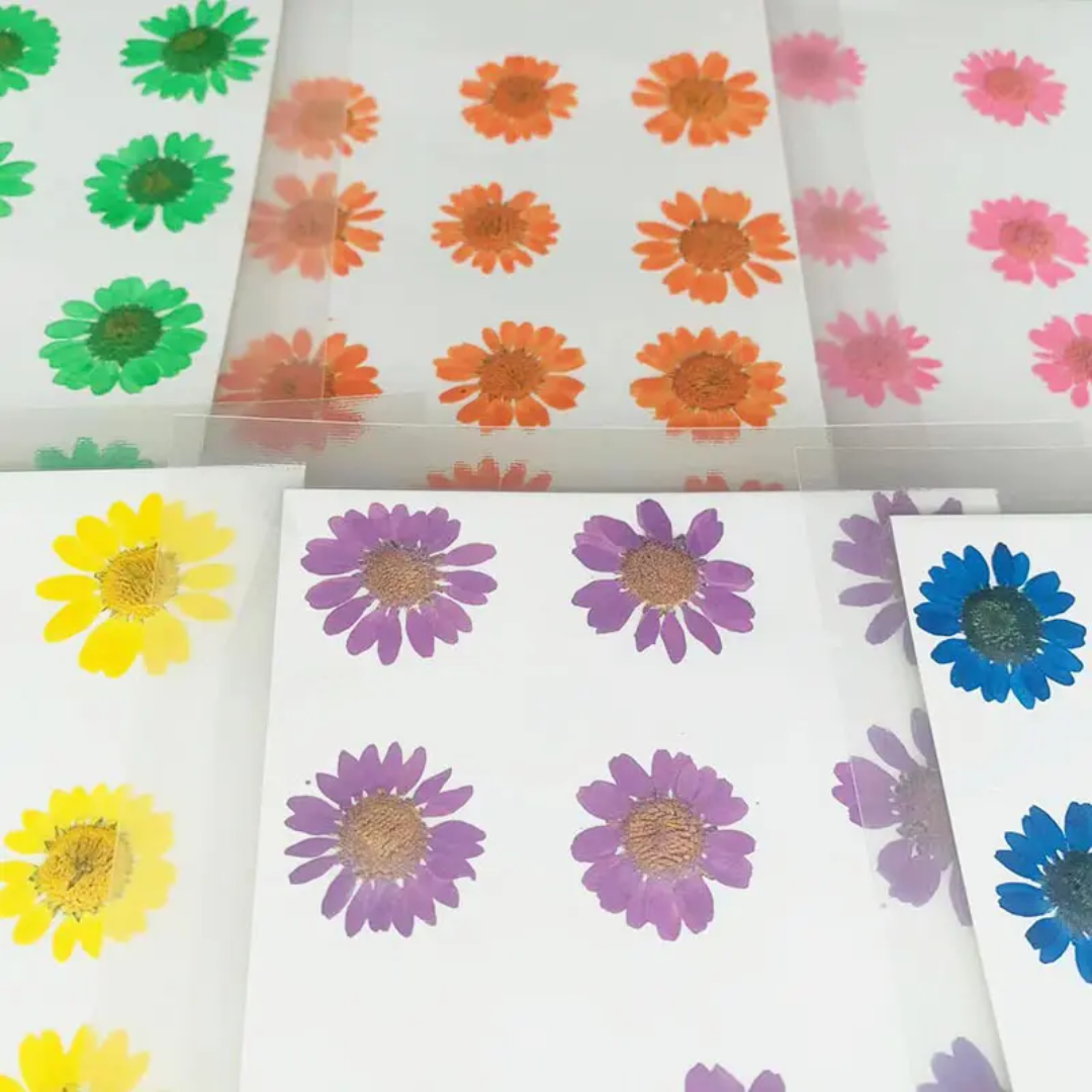 Single Color Pressed Flower