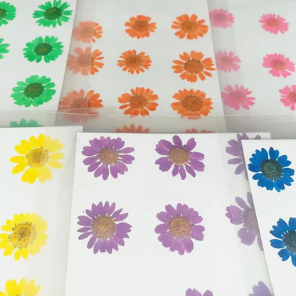 Single Color Pressed Flower