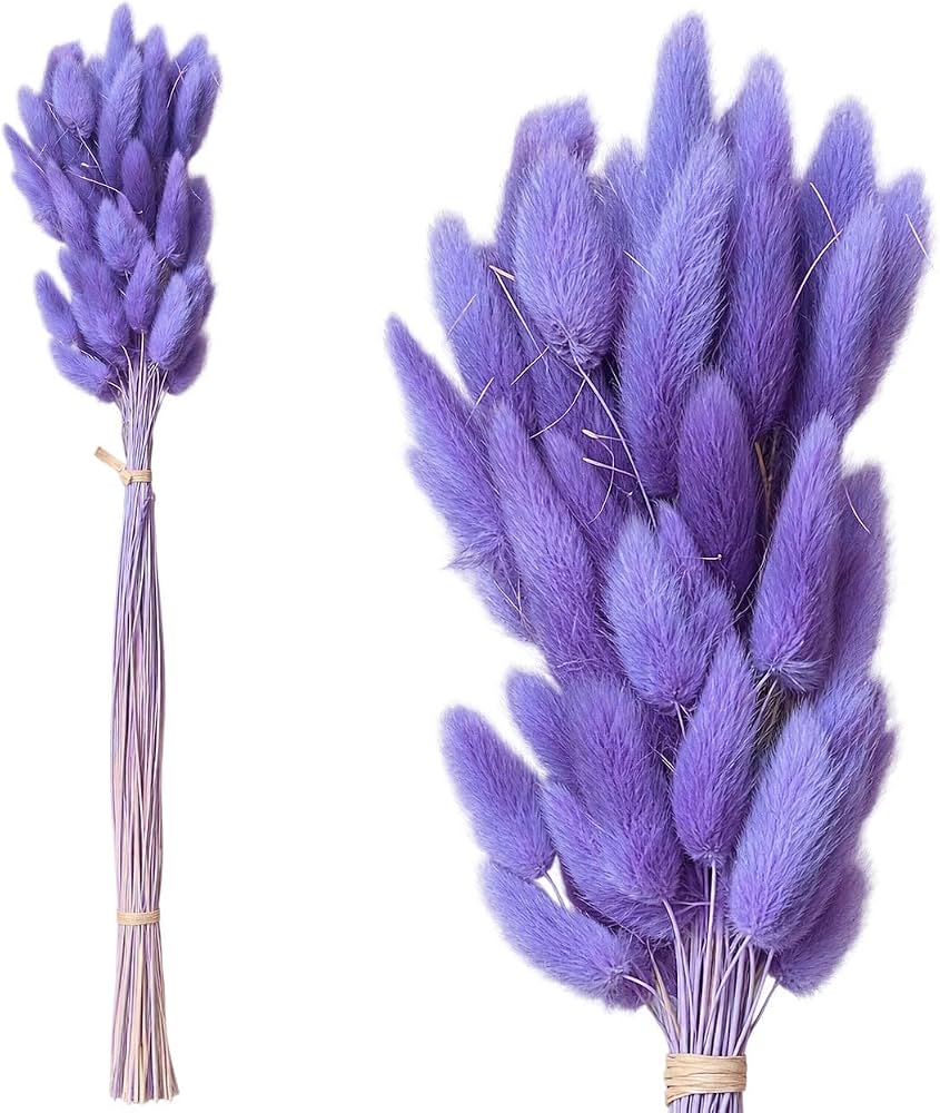 Pampass Grass (1 Bunch )