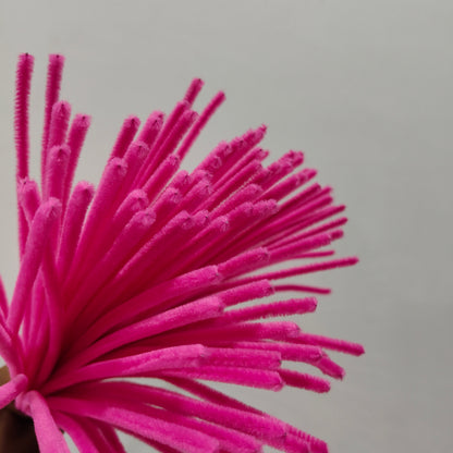Pipe Cleaner (100 Pc)